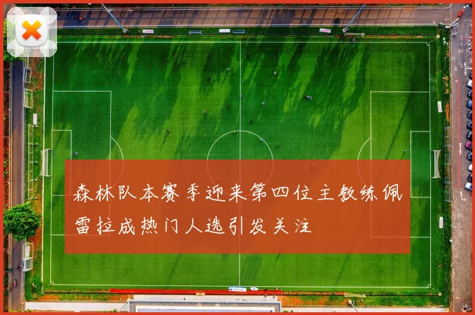 森林队本赛季迎来第四位主教练佩雷拉成热门人选引发关注