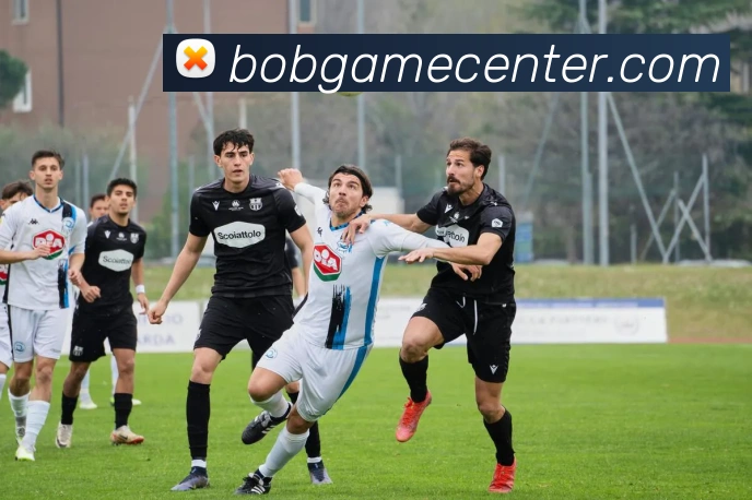 BOB体育服务体系